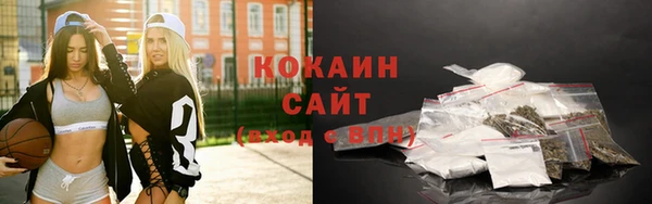 шишки Армянск