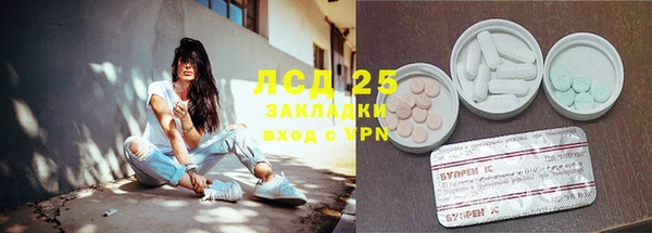 apvp Аркадак